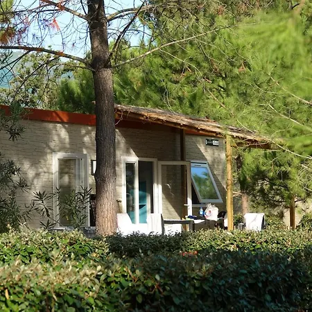 San Damiano 4*