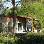 San Damiano 4*