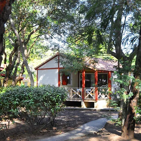 San Damiano ביגוגליה