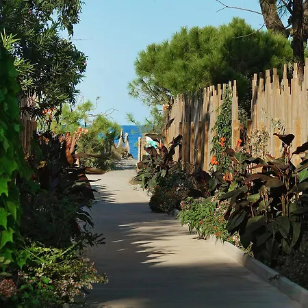 San Damiano
