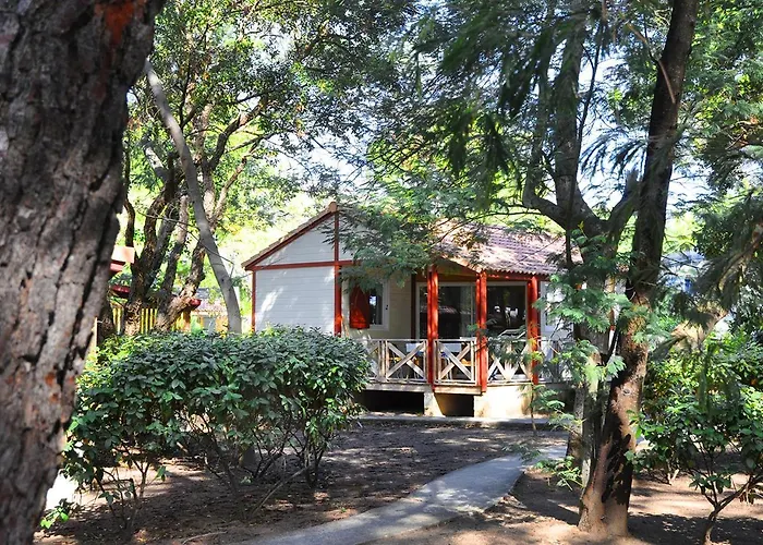 San Damiano ביגוגליה